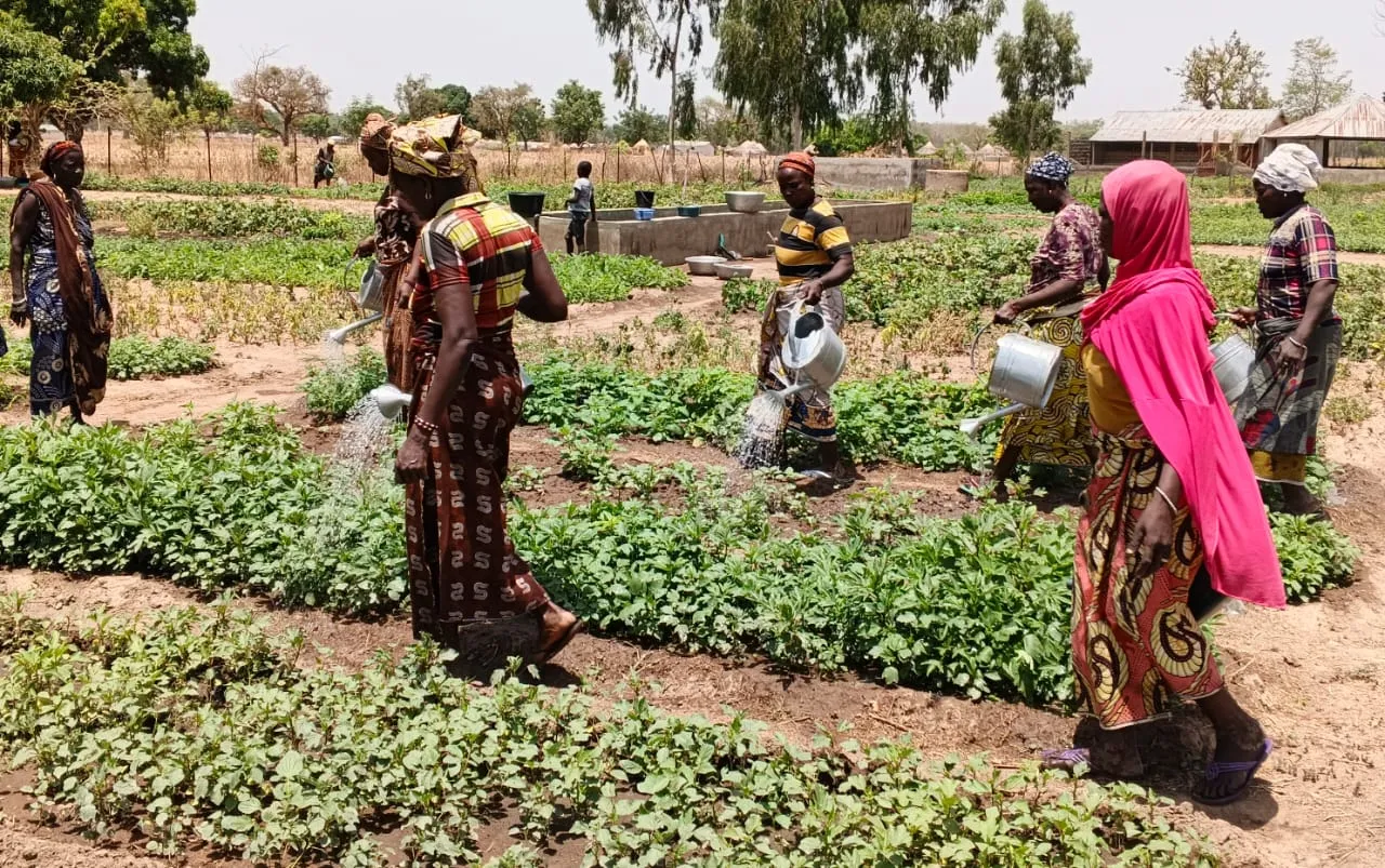 Women vegetable farmers confronting climate change in northern Benin
