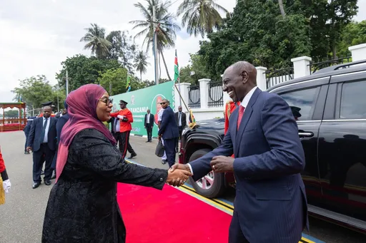 Tanzania’s Samia questions Ruto’s premature announcement on joint Tanga refinery