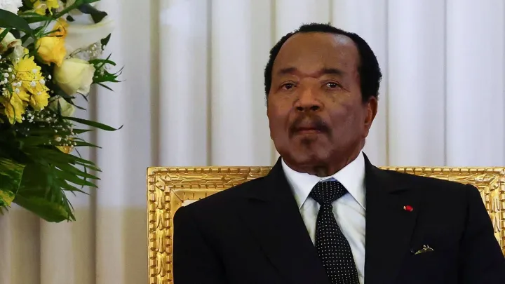 Cameroon's president places power firm under state control