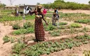 Bénin : les femmes maraîchères de Niaro prennent en main le développement de leur communauté