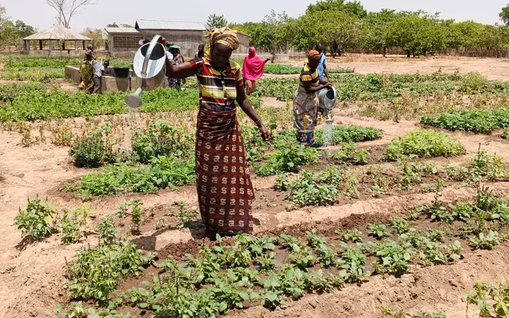 Bénin : les femmes maraîchères de Niaro prennent en main le développement de leur communauté