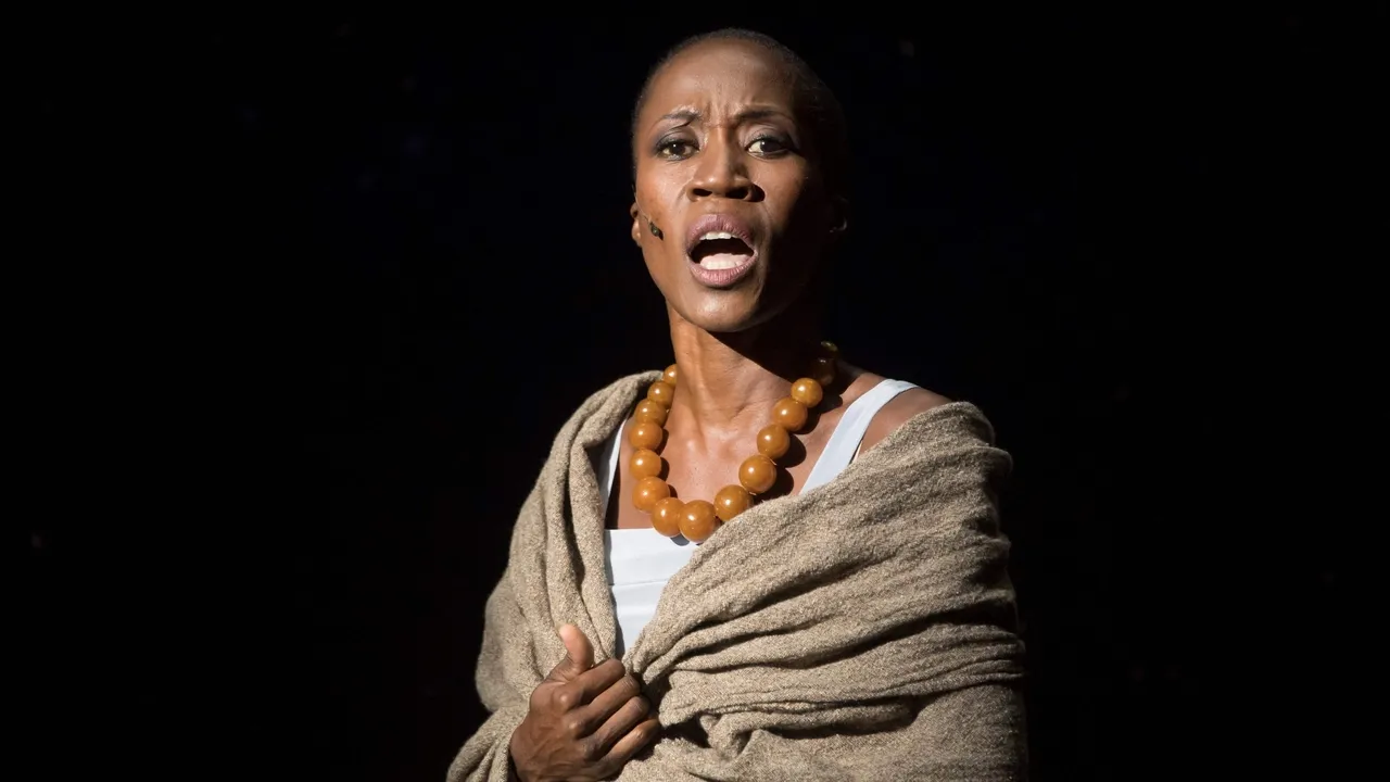 Malian singer Rokia Traore gets suspended jail in Belgian custody case