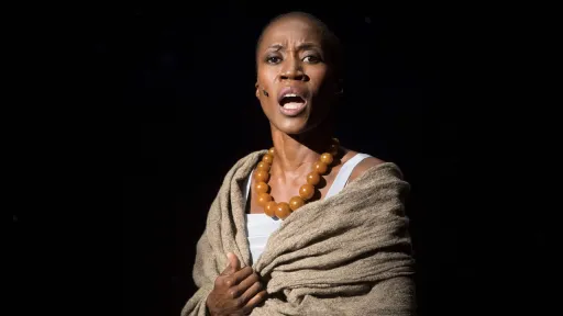 Malian singer Rokia Traore gets suspended jail in Belgian custody case