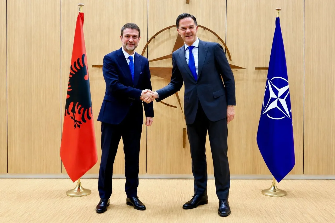 Hoxha-Rutte: Angazhimi i vazhdueshëm i NATO-s mbetet thelbësor për ruajtjen e stabilitetit në rajon