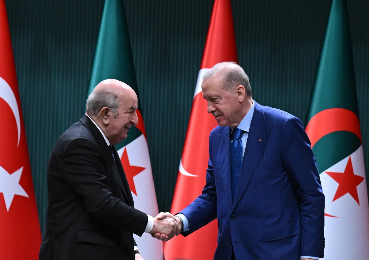 أردوغان: عازمون على تطوير تعاوننا مع الجزائر في مجالات استراتيجية