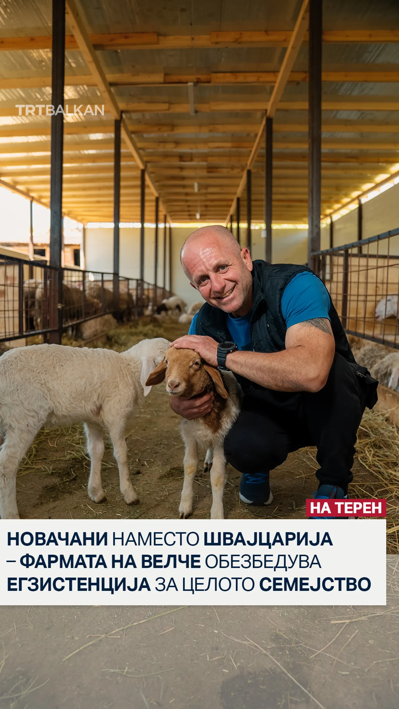 Новачани наместо Швајцарија – Фармата на Велче обезбедува егзистенција за целото семејство
