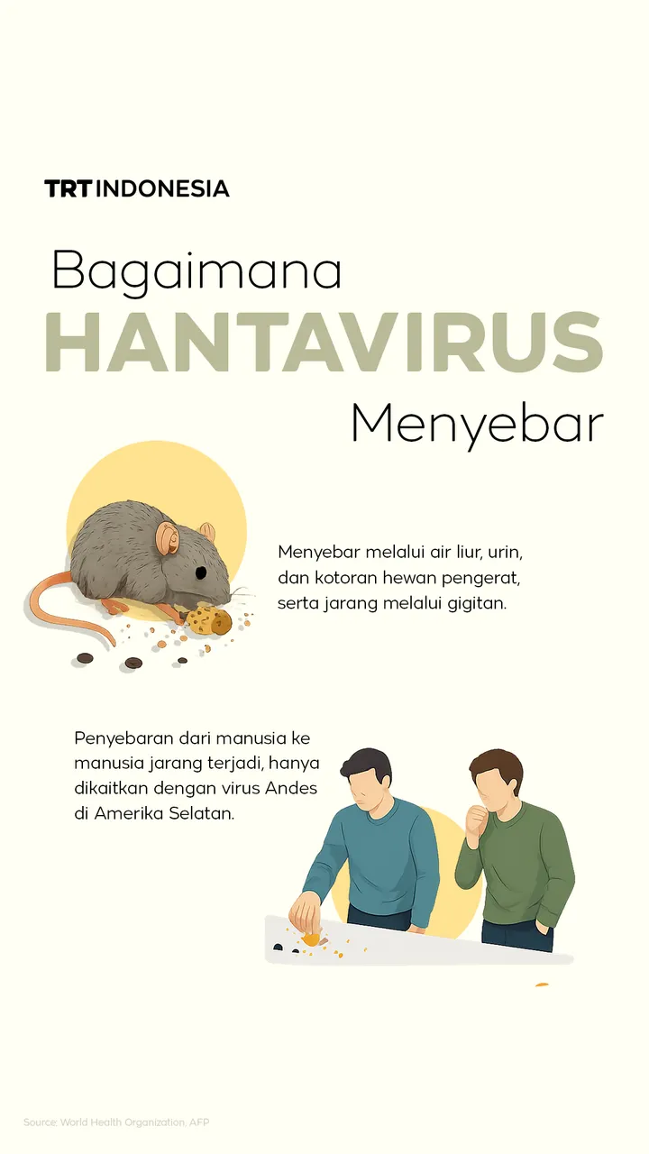 Bagaimana hantavirus menyebar?
