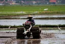 Kementan akselerasi tanam padi 750 hektare di Lamongan hadapi ancaman El Nino