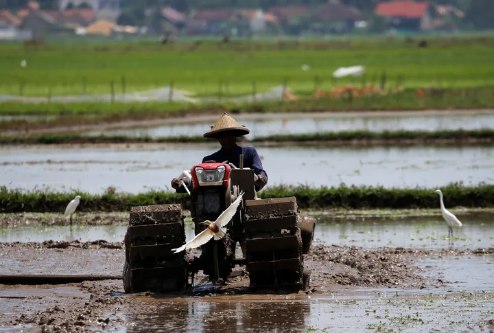 Kementan akselerasi tanam padi 750 hektare di Lamongan hadapi ancaman El Nino