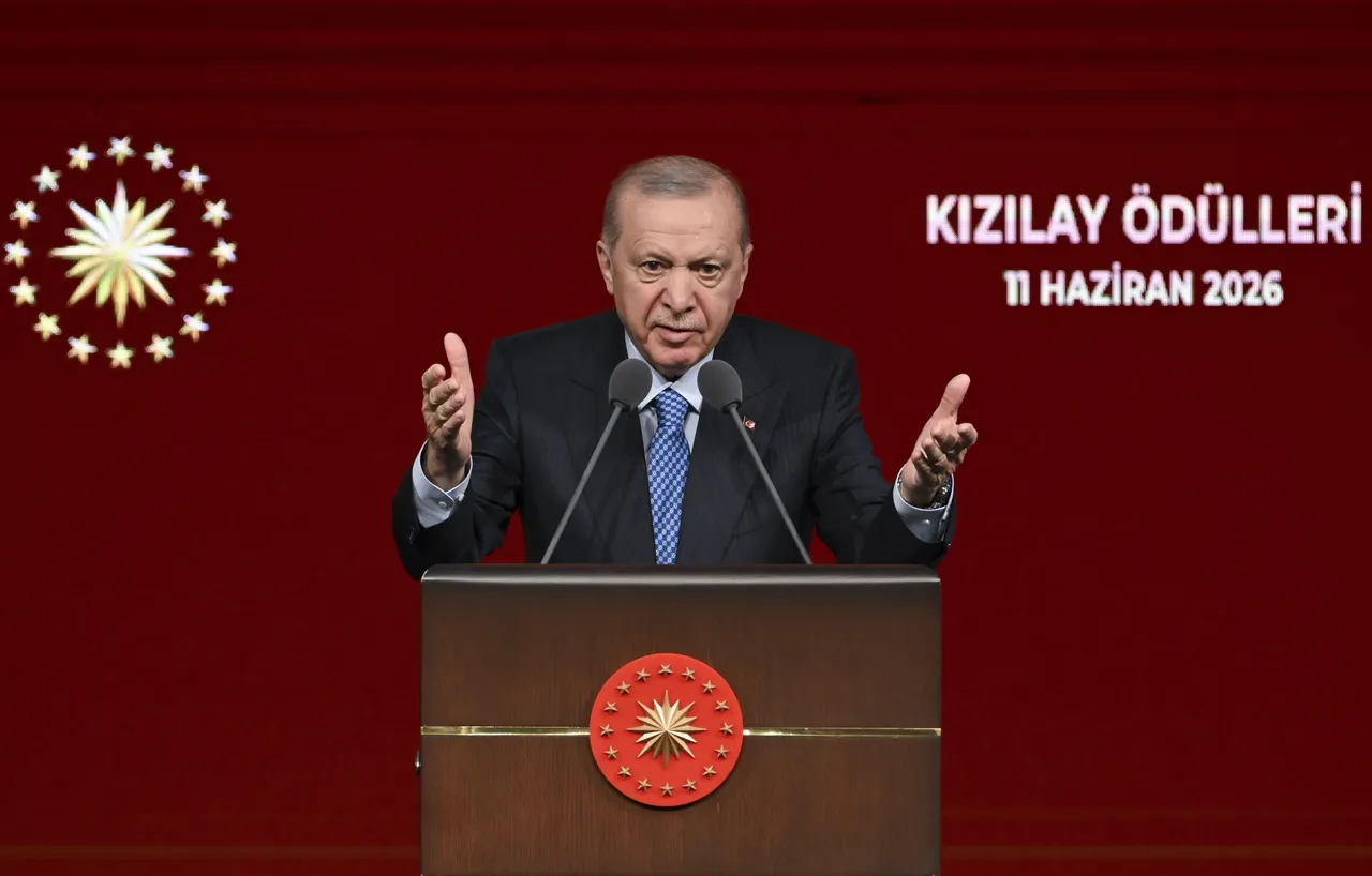 أردوغان يؤكد ريادة تركيا في المجال الإنساني ويشدد على محاسبة مرتكبي الجرائم بغزة