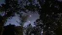 Pentagon opens UFO vault: Latest declassified files reveal mysterious glowing orb hotspot