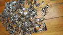 Police seize 150 live scorpions in South Africa airport sting operation