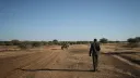 Army says dozens of RSF troops killed in attacks across Sudan