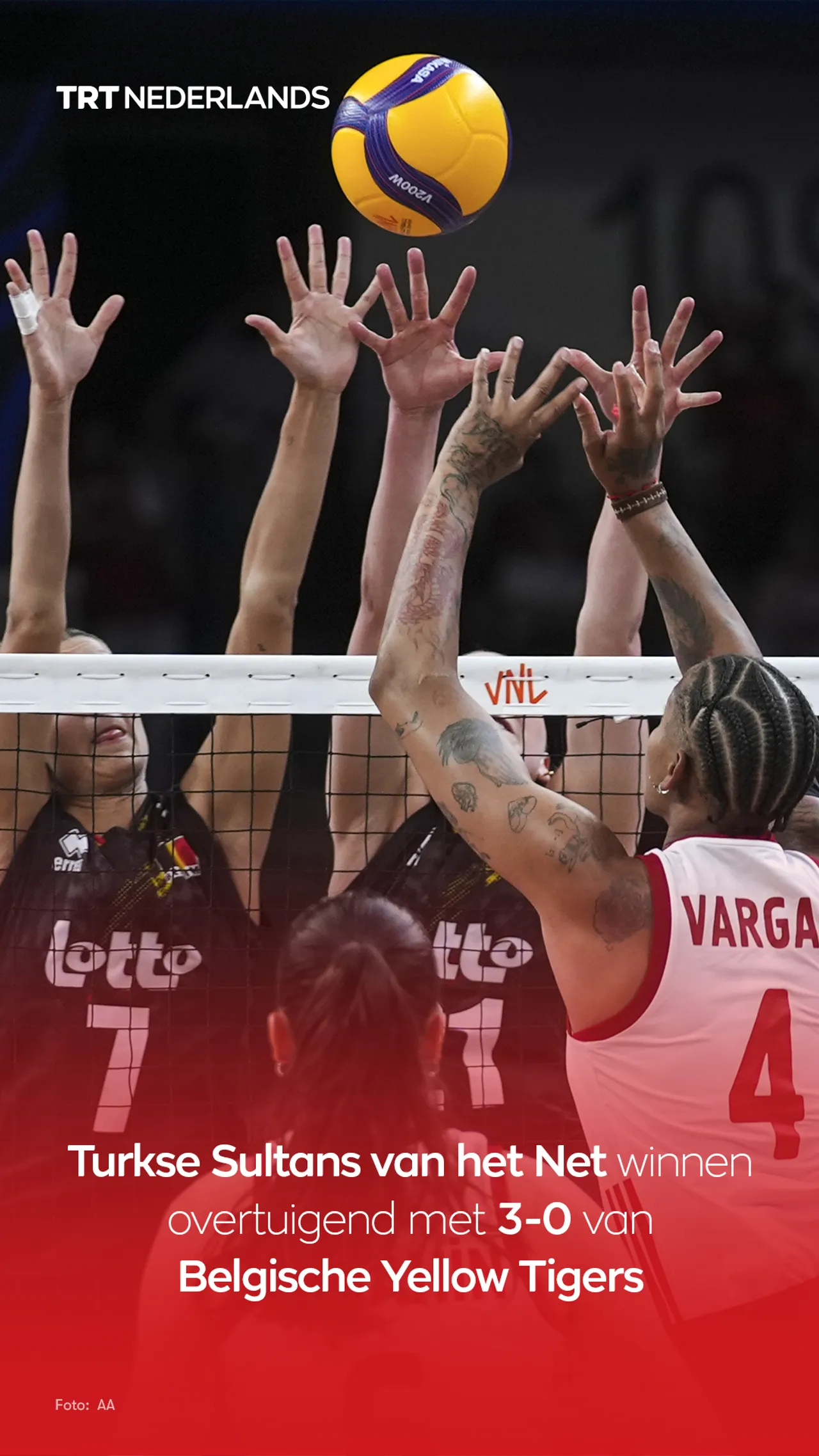 Turkse Sultans van het Net laten Belgische Yellow Tigers kansloos in Ankara