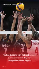 Turkse Sultans van het Net laten Belgische Yellow Tigers kansloos in Ankara