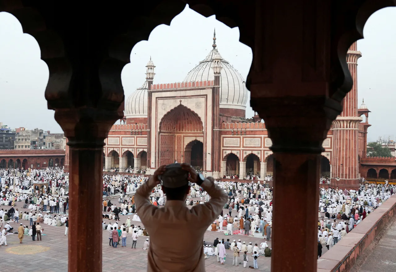 From cows to pigs: How India’s Hindu right-wing turned the swine into a weapon to attack Muslims