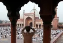 From cows to pigs: How India’s Hindu right-wing turned the swine into a weapon to attack Muslims