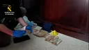 Arrests in Spain over exotic African lizards trafficking