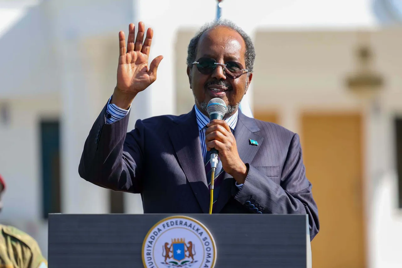 President Mohamud vows not to 'allow Somalia to be destabilised'