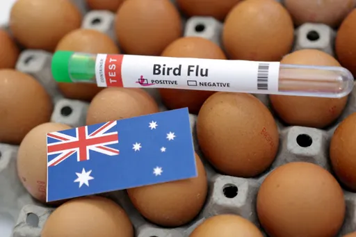 Another suspected bird flu case adds to Western Australia tally