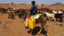 WHO warns about worsening cholera outbreak in Sudan's Kordofan region