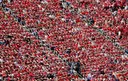From stands to social media, Norway's 'Ro! Ro! Ro!' chant sweeps the World Cup: The story behind it