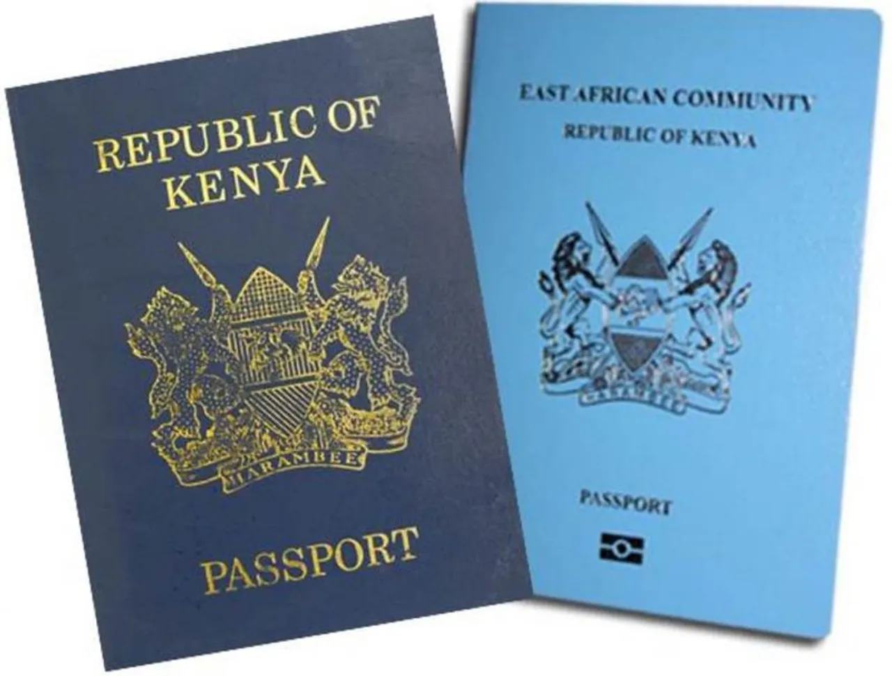 Kenya, Afrika Kusini zajumuishwa katika mpango wa 'Viza unapowasili' na UAE