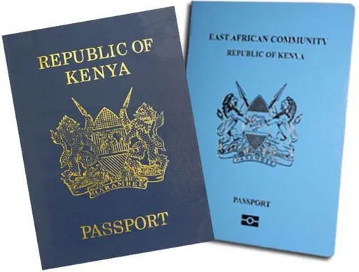 Kenya, Afrika Kusini zajumuishwa katika mpango wa 'Viza unapowasili' na UAE
