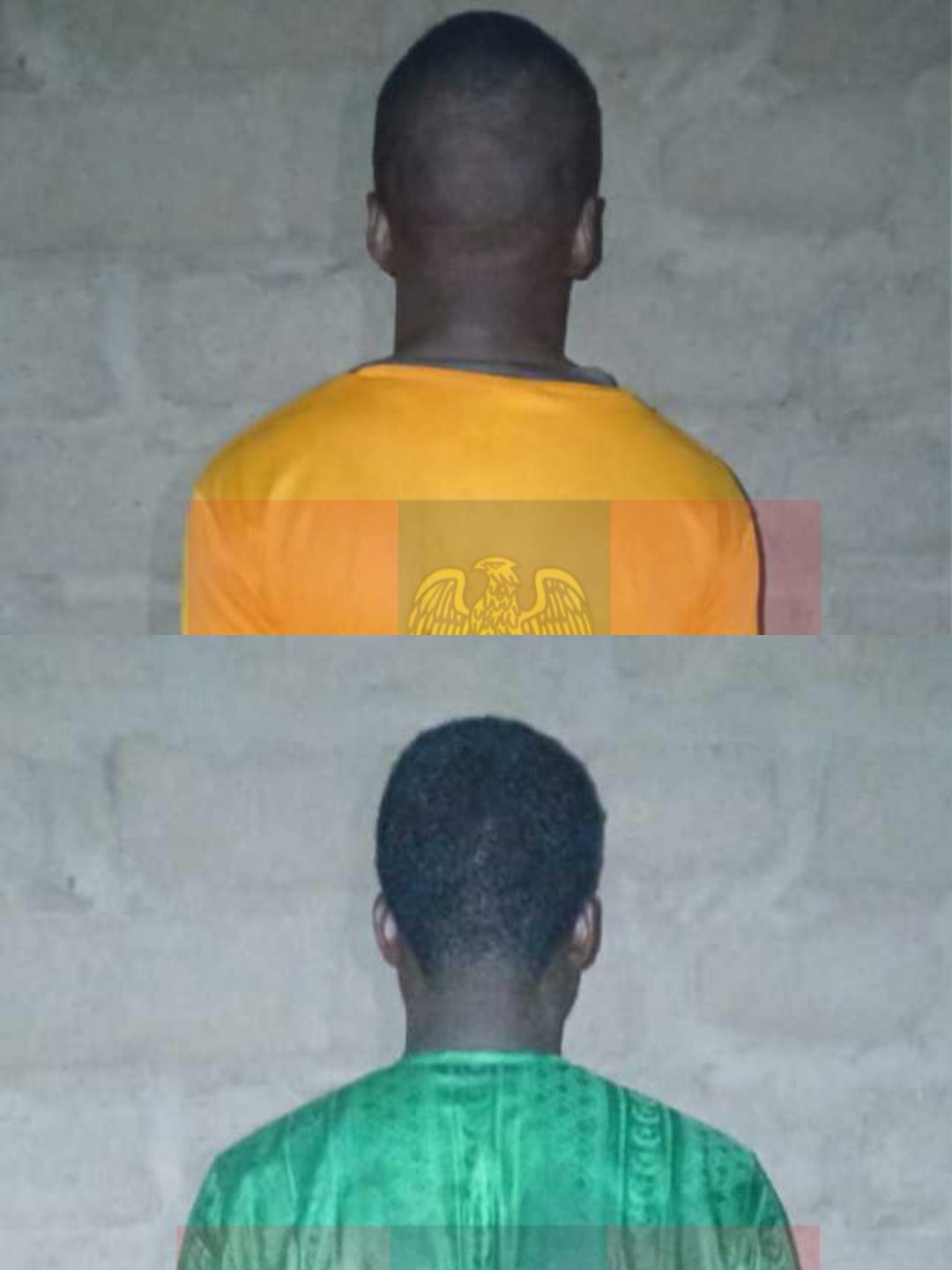 Dakarun Nijeriya sun ce manyan kwamandojin DAESH sun miƙa wuya sakamakon ƙara matsin lambar soji