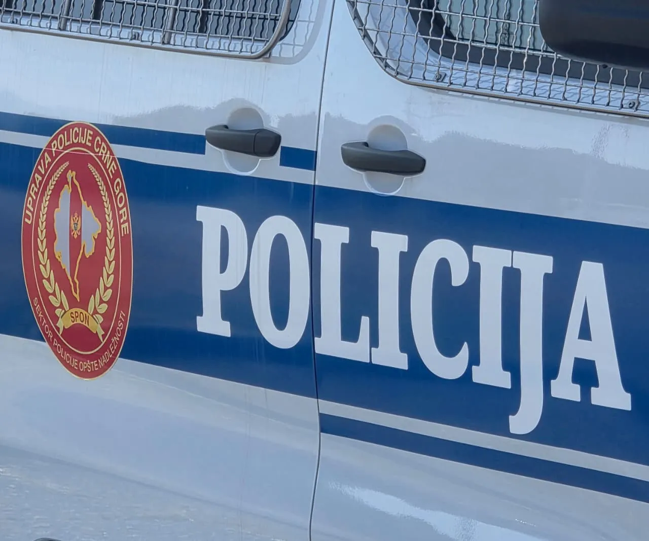 Црна Гора депортирала цел авион што долетал од Србија