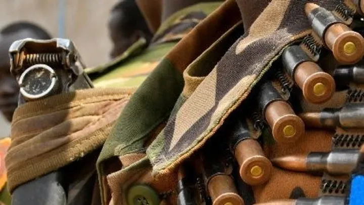 South Sudan cattle raid attacks kill at least 14 people: local official
