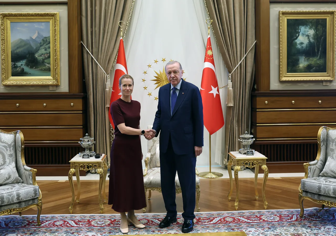 Türkiye's Erdogan meets EU's Kallas ahead of NATO summit in Ankara