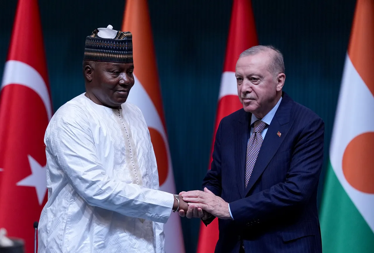 Türkiye continues to develop Africa ties based on 'equal partnership': Erdogan
