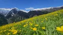 Why Rize feels like another world in Türkiye