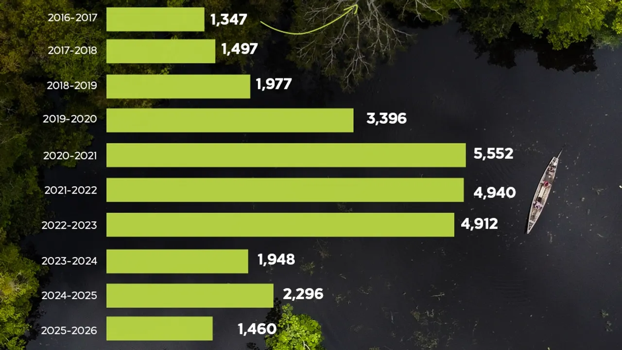 Can the Amazon be saved? Deforestation falls in Brazil