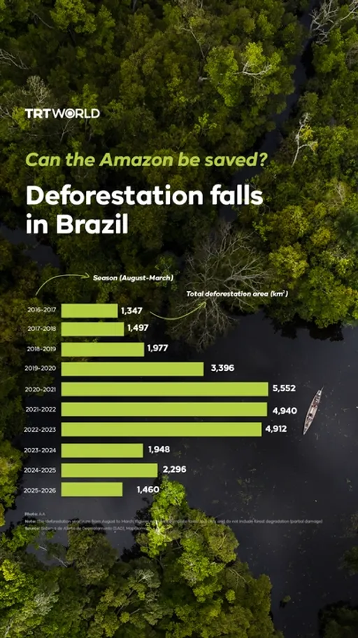 Can the Amazon be saved? Deforestation falls in Brazil