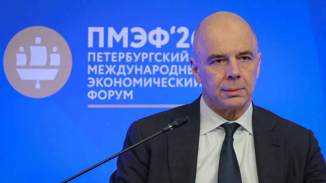 Силуанов предложил российским компаниям защитить себя от дронов самостоятельно