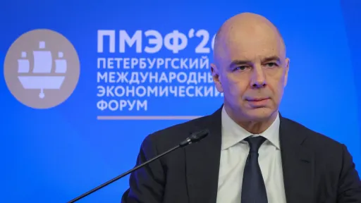 Силуанов предложил российским компаниям защитить себя от дронов самостоятельно
