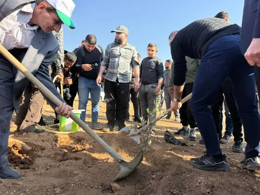 ‘Protecting the land and rebuilding’: How Syrians are restoring their forests