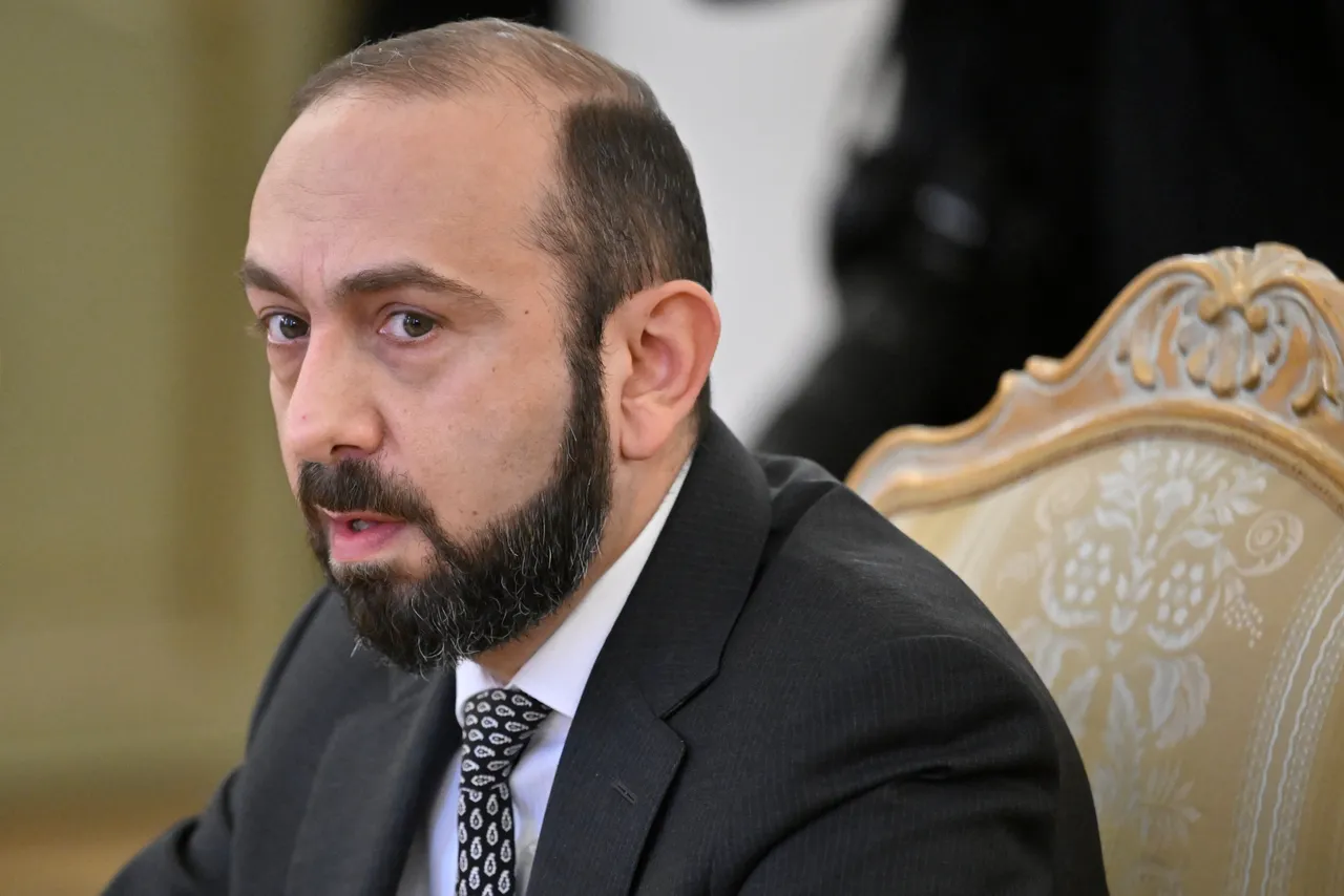 Armenia eyes full normalisation with Türkiye in near future: FM