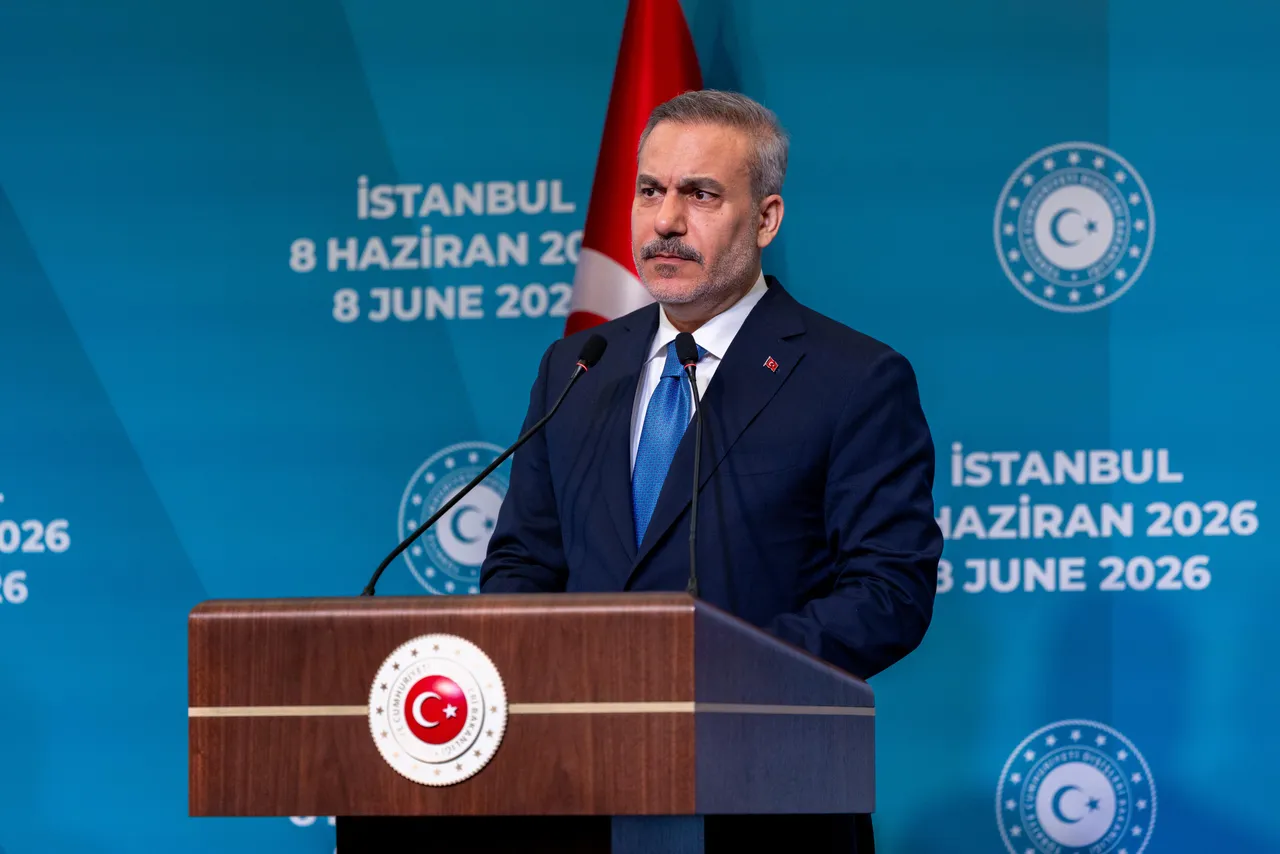 Peace in Ukraine key to regional security, stability: Turkish FM