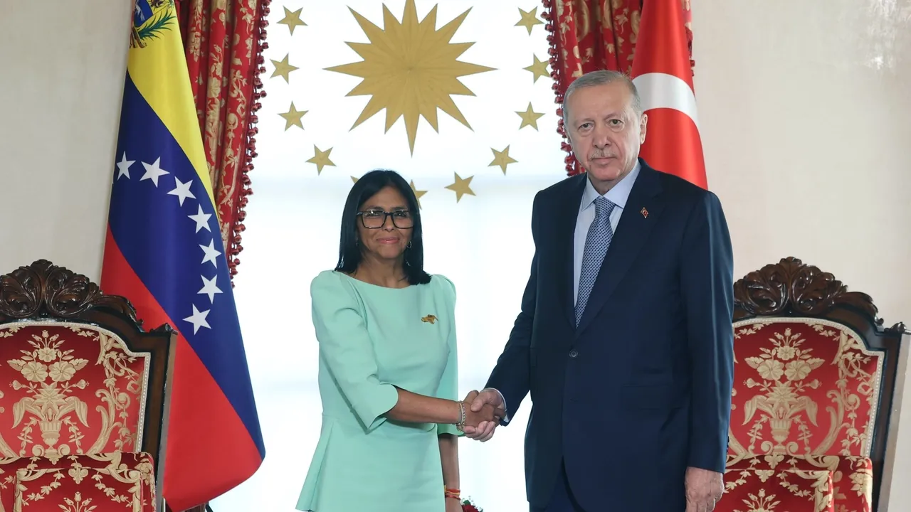 في لقائه برودريغيز.. الرئيس أردوغان: تركيا وفنزويلا عازمتان على تعزيز التعاون في عديد من المجالات