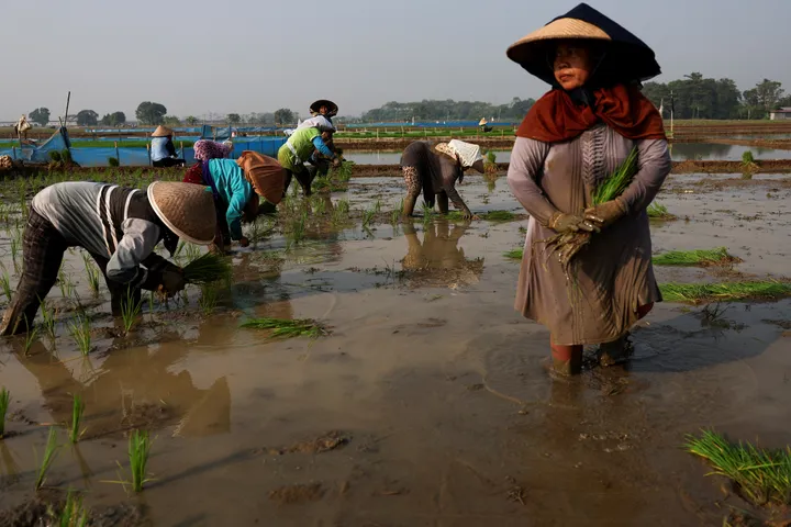 Rode Kruis slaat alarm: 'Super-El Niño' bedreigt wereldwijde voedsel- en waterzekerheid