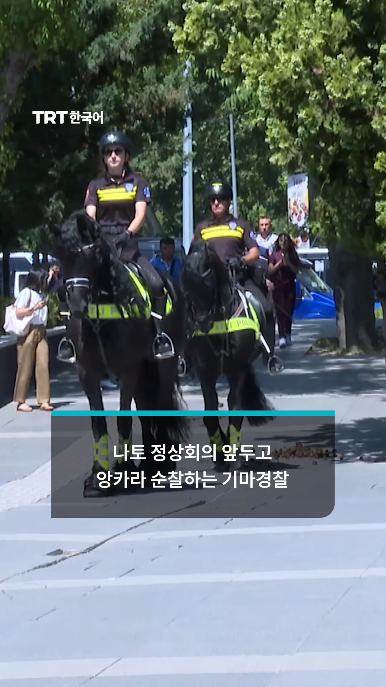 나토 정상회의 앞두고 앙카라 순찰하는 기마경찰