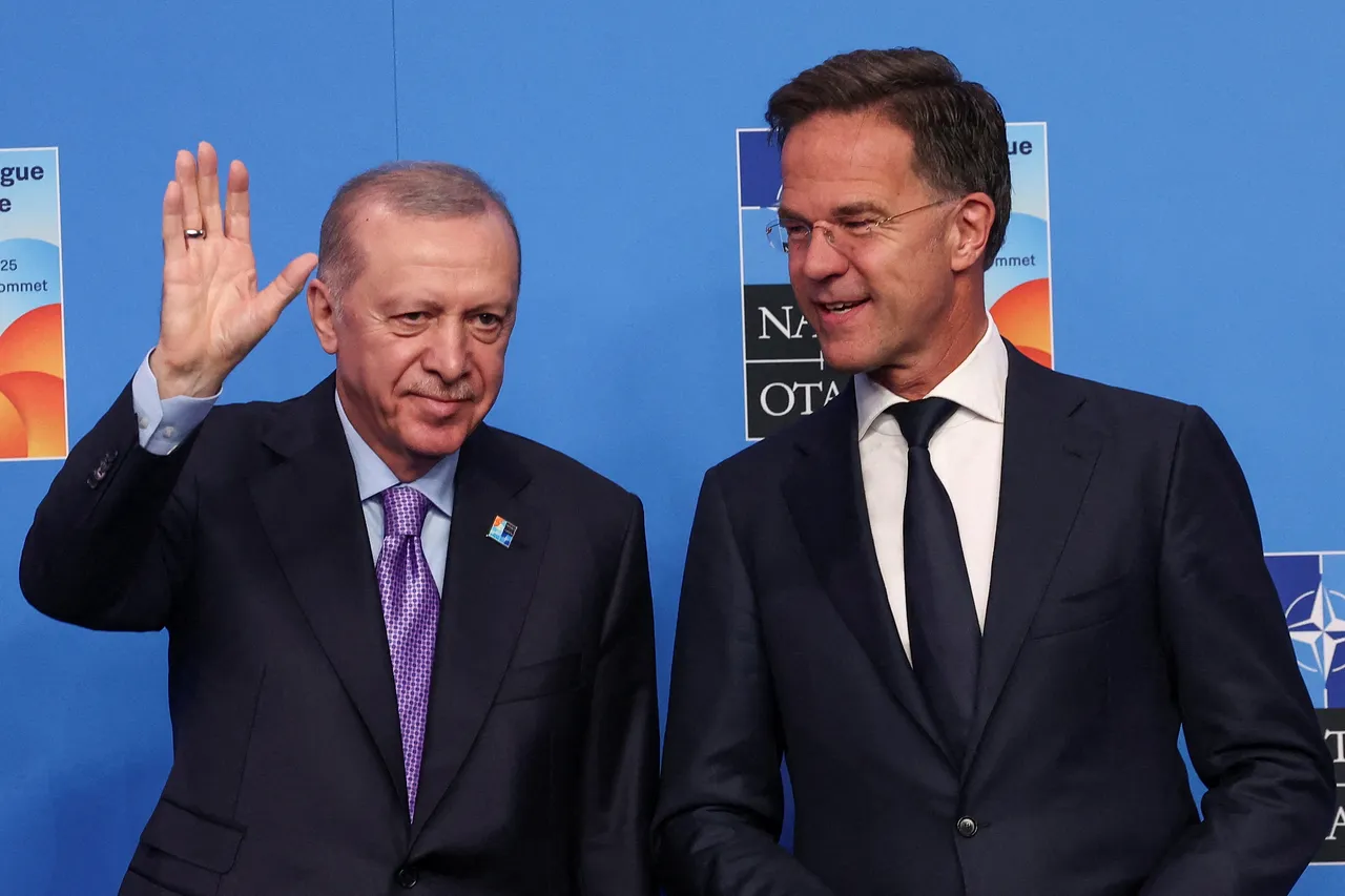 Predsjednik Turkiye Erdogan i šef NATO-a razgovarali o agendi samita i regionalnim pitanjima