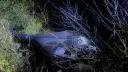 Дрон упал в Молдове во время предполагаемой атаки России по Украине