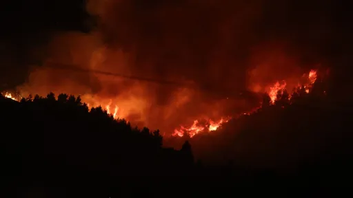 Algérie: plus de 100 incendies, les secours mobilisés dans 45 provinces