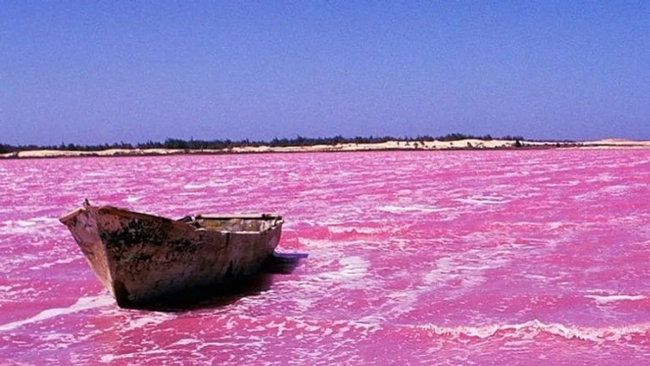 Senegal's 'Pink Lake' recovers its rosy hue, reviving salt trade