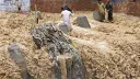 Paqıstan häm Hindstandağı su basularda ülüçelär sanı artа
