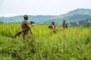 Ceasefire monitoring mission deployed in eastern Congo under Qatari peace deal